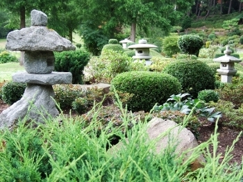 Qi Gong